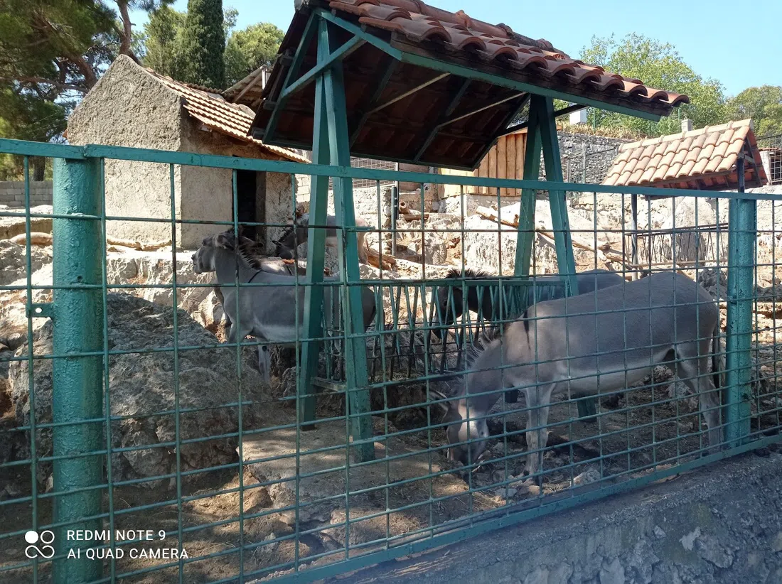 Musée d'Histoire Naturelle et Zoo de Split, Split