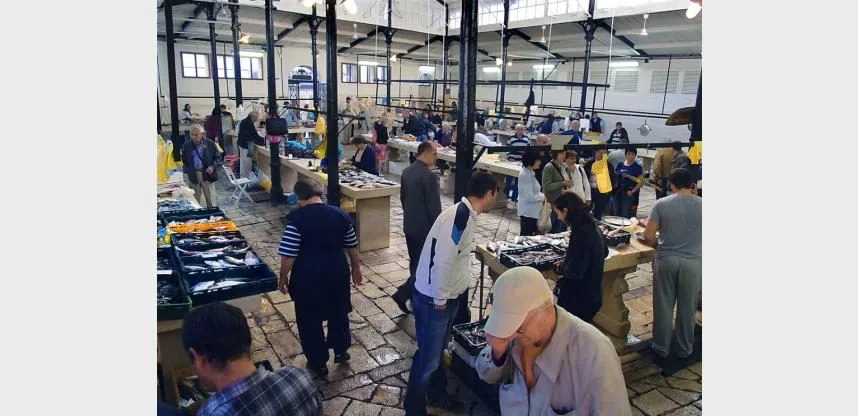 Peškarija (Mercado de Peixe de Split), Split
